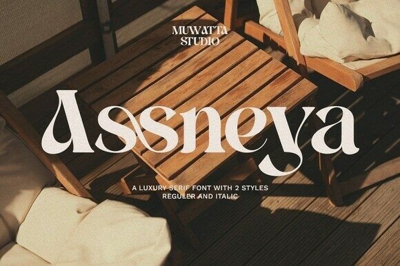 Assneya: A Fluid Serif Font for Campaigns That Demand Attention