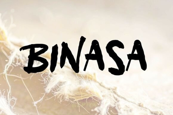 Binasa: A Display Font That Commands Attention