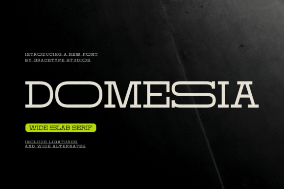 Domesia: A Wide Slab Serif That Anchors Brand Identity